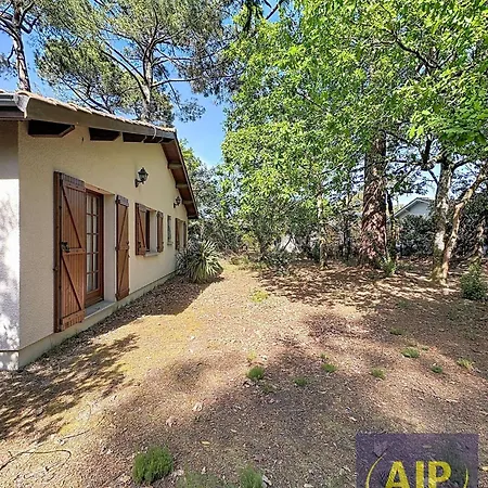 别墅 02432-lacanau - Maison Quartier Calme Pour 5 Personnes, 100m Du Mae-1021